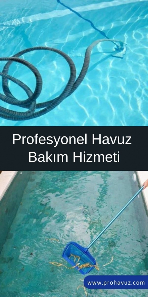 www.prohavuz.com